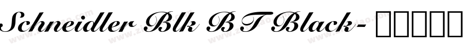 Schneidler Blk BT Black字体转换
